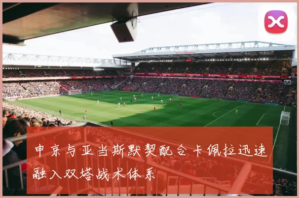 申京与亚当斯默契配合卡佩拉迅速融入双塔战术体系